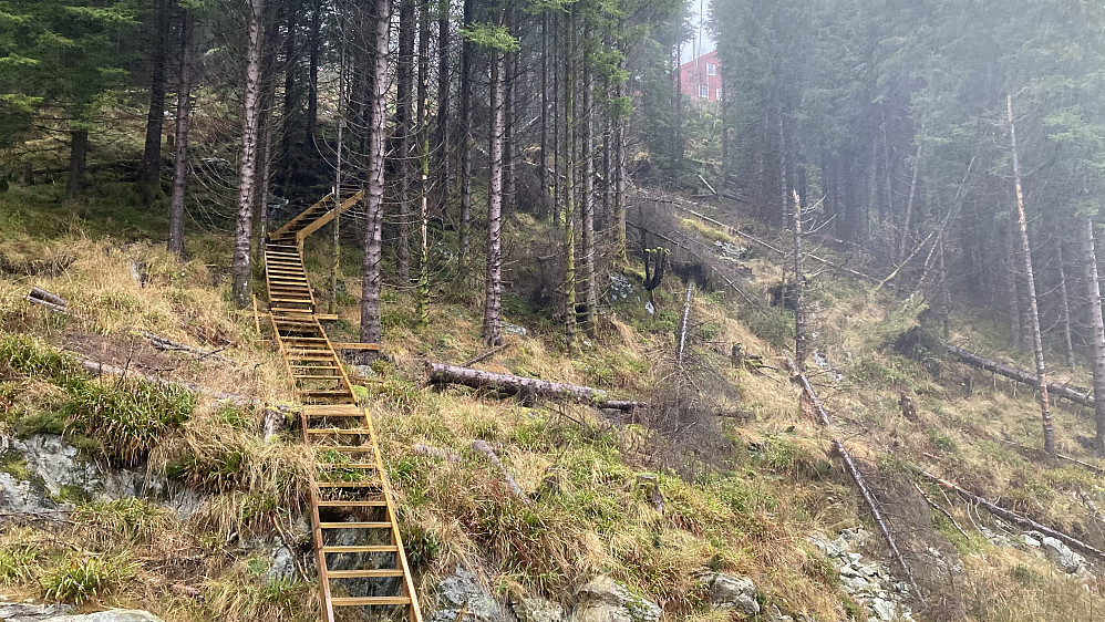 Meget glatt tretrapp fra grusveien opp til hytten