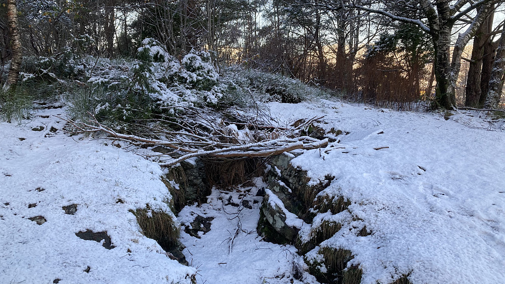 Løpegrav og skytestilling på Storåsen vest