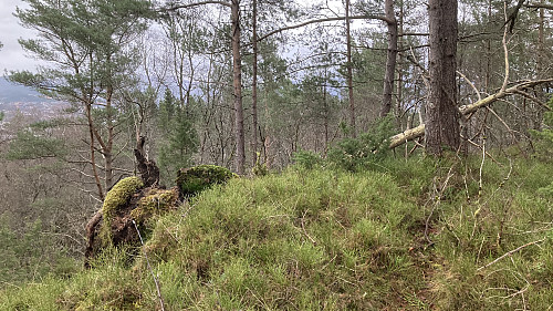 Høyest på Dolvikfjellet