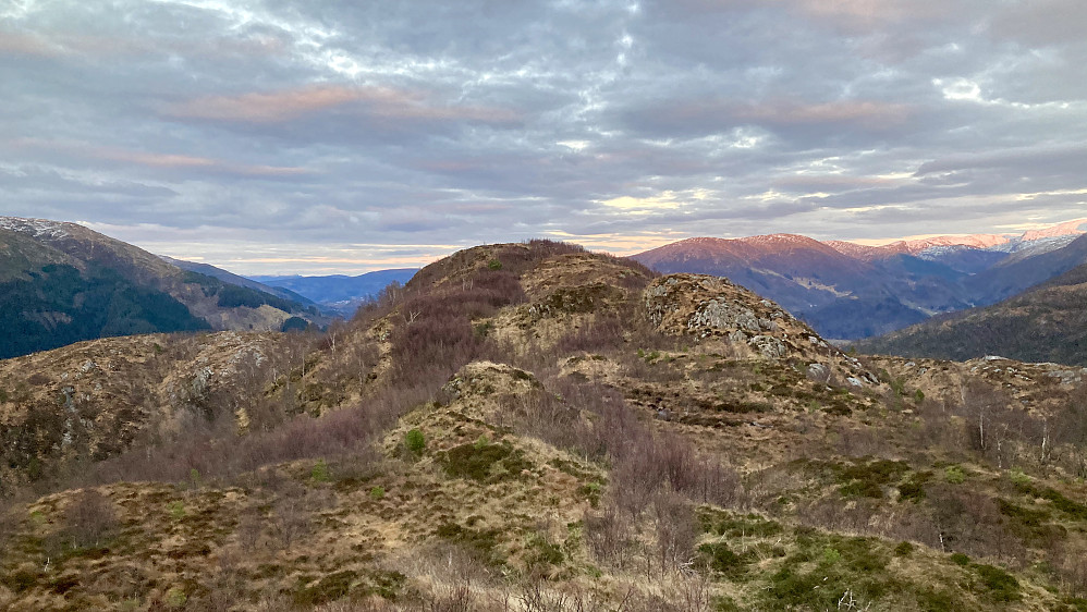 Den tydelige haugen midt i bildet må være Skavdalsfjellet 418, her sett fra sør