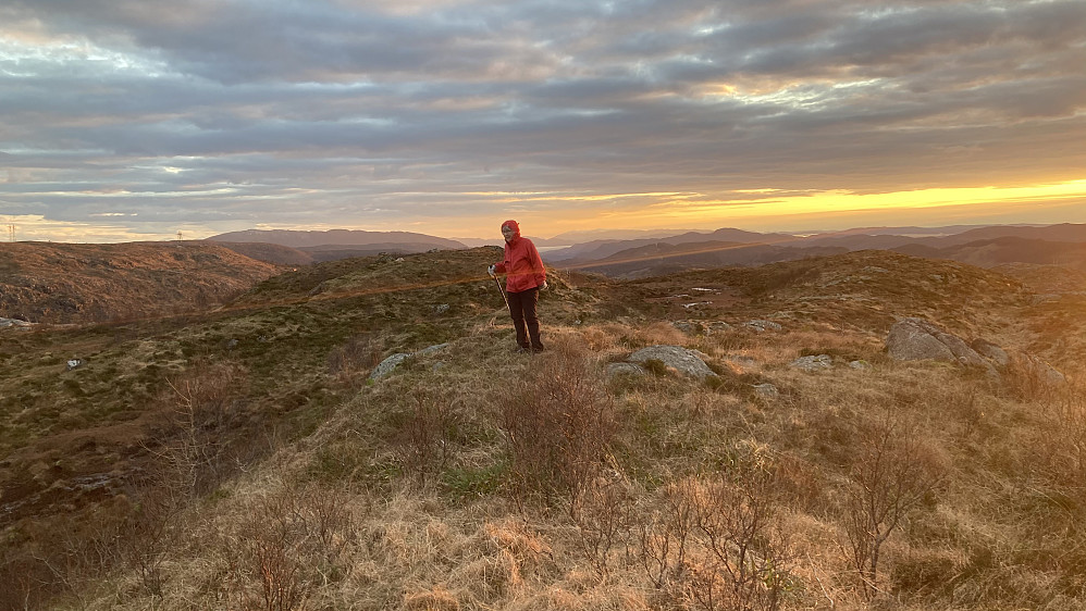 Astrid på toppen av Skardalsfjellet (nord)