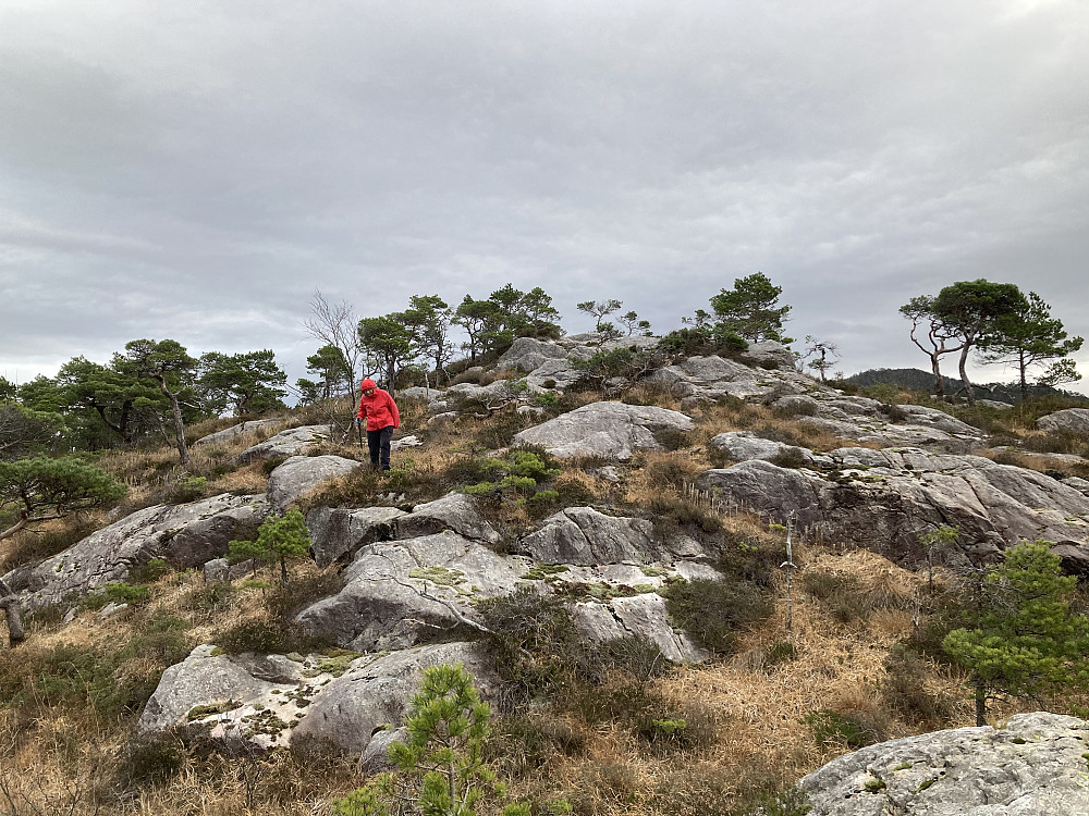 Astrid på vei ned fra høyeste punkt på Storakvitefjellet