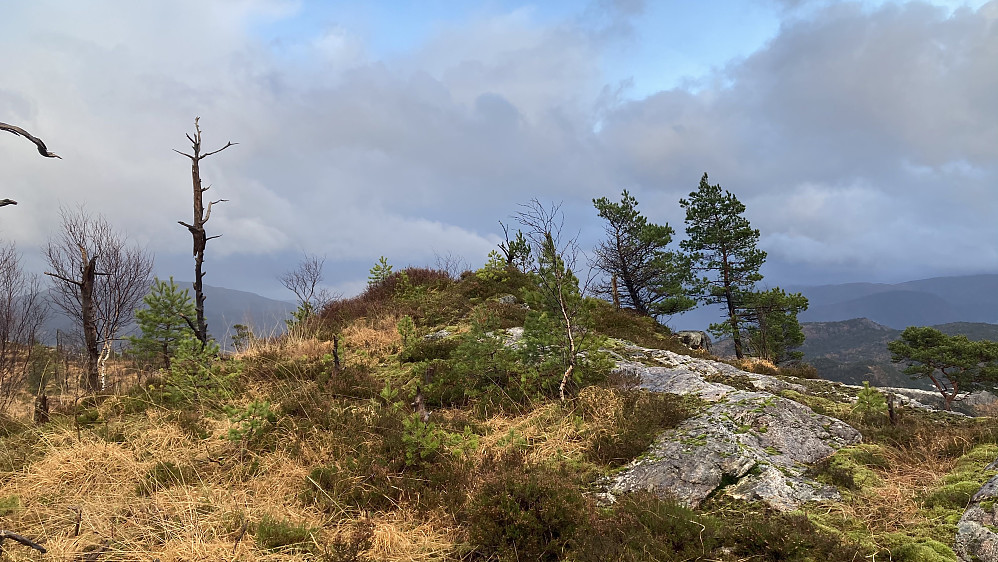 Det såkalte Svartafjellet øst for Hetlebakksåta minner ikke mye om noe eget fjell!