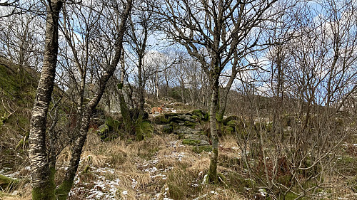 Steintrapp opp til flaten hytten sto på
