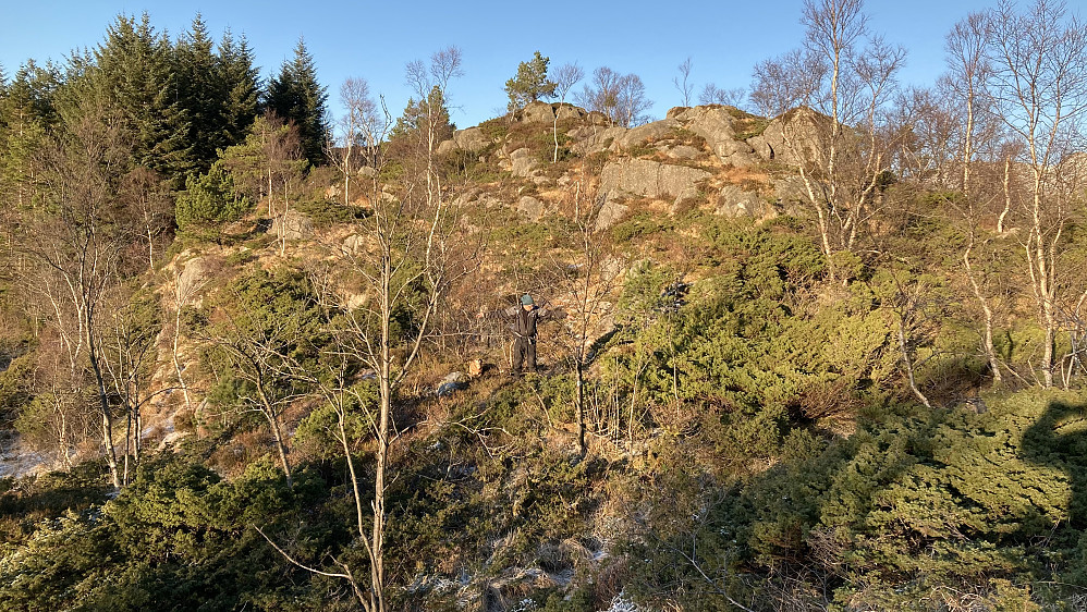Helge markerer stedet der Østerbøhytten lå. Foto fra sør.