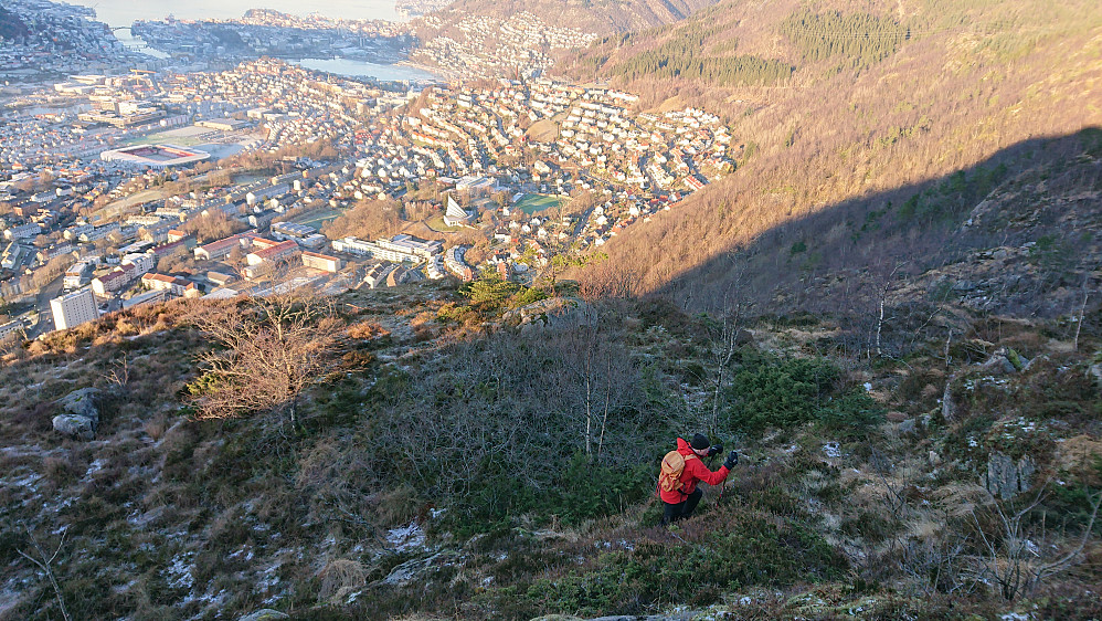 Selve hytten på Utsikten lå antagelig inne i bjørkekrattet som vises på bildet der en kan en ane en oppmurt flate. Foto Helge Titland 