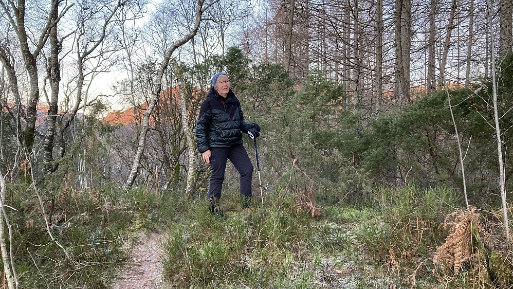 Astrid på dagens siste - Preståsen. Fin sti opp her gjennom lerkeskog