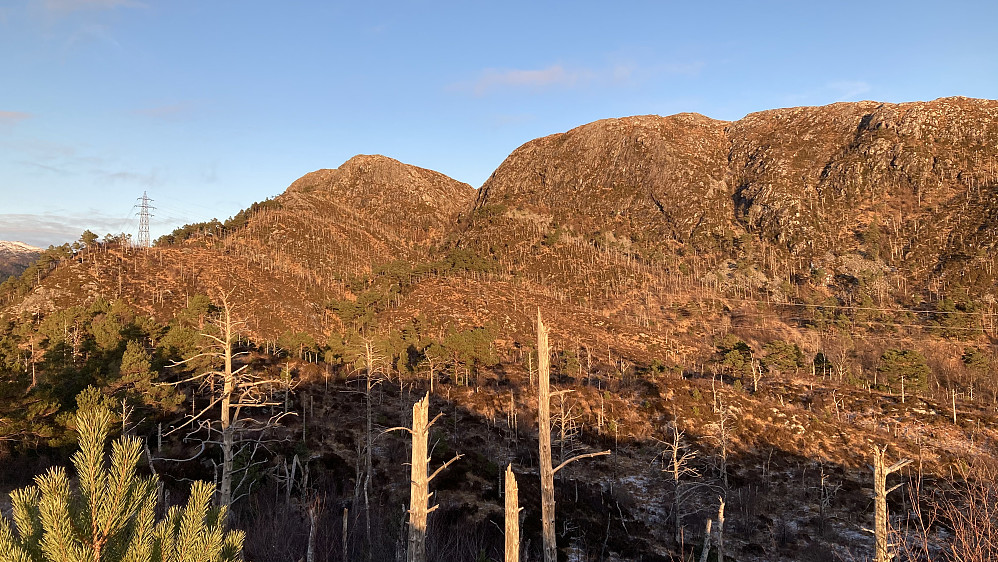 Fra Kattuglehaugane mot det karakteristiske skaret i Skavdalen som danner skillet mellom Flåfjellet mot venstre og Stordalsfjellet mot høyre