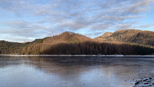 Preståsen