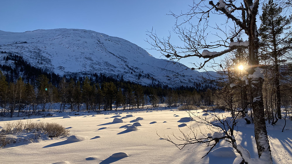 Fint ved elven nedenfor hytten denne kalde januardagen. Mjølfjellet 1374 i bakgrunnen 