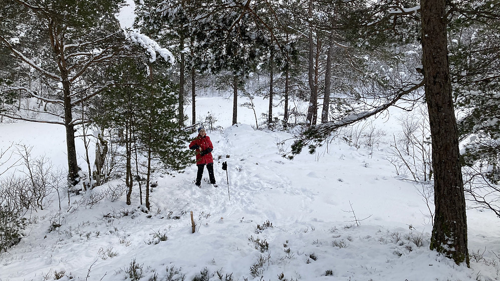 Astrid markerer stedet ser hytten sto. Fant stokken og en steinhaug (fra grunnmuren) som Kjell hadde gravd frem