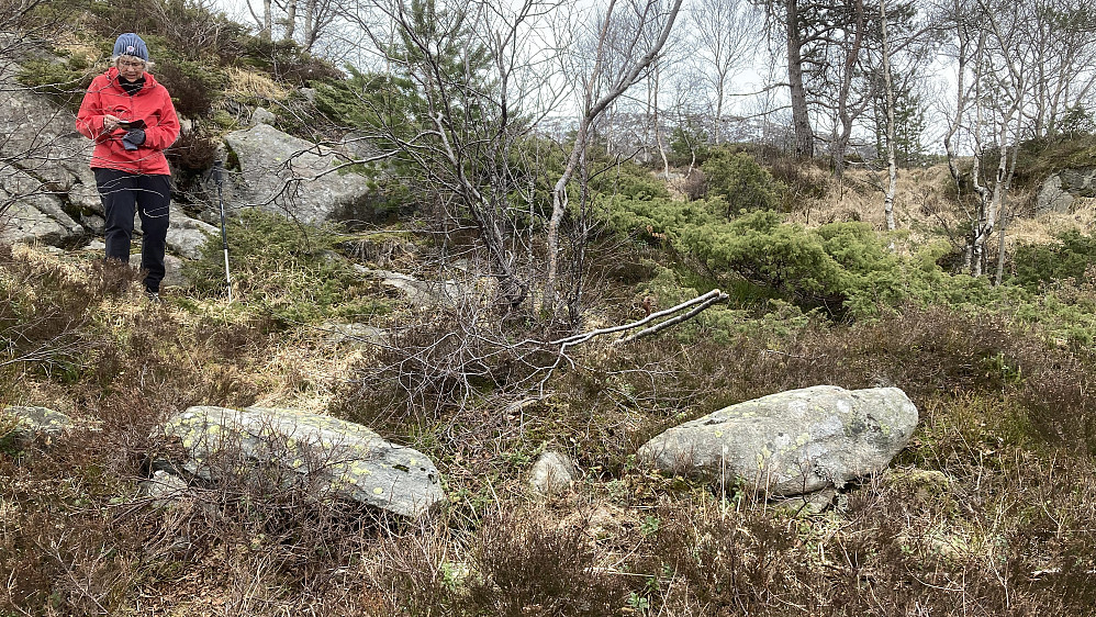 Astrid markerer en av de rustne øyeboltene på Østerbøhytten. Den andre ligger rett bakenfor den brukne bjørkekvisten