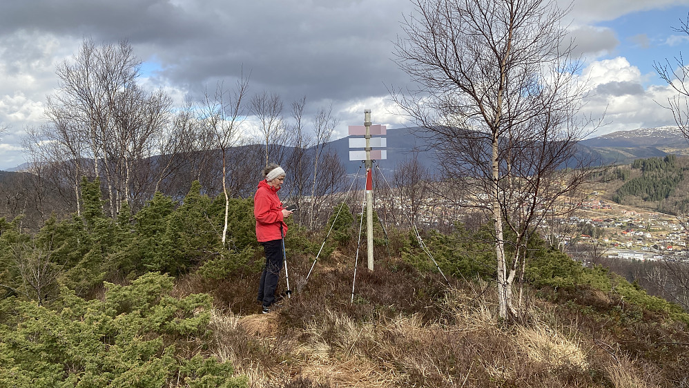 Astrid på toppen av Mjeldheimsåta
