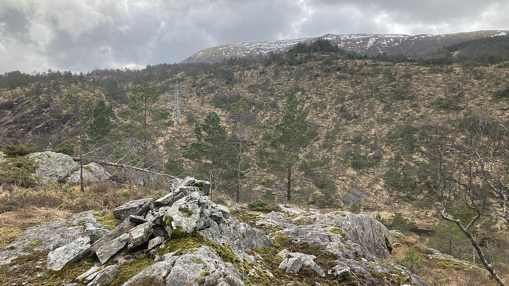 Varden på Vårheia Nord. Skogholtet i bakgrunnen er Stikka 258