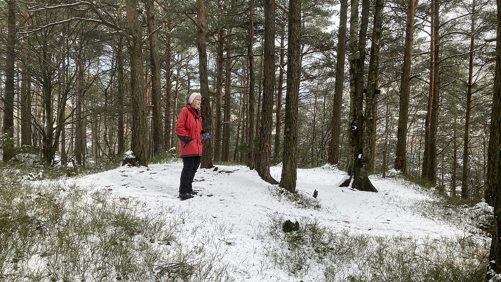 Astrid på toppen av Nordre Lyshovden