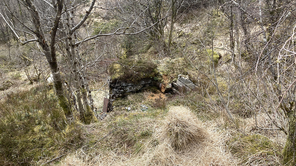 Samme sett ovenfra