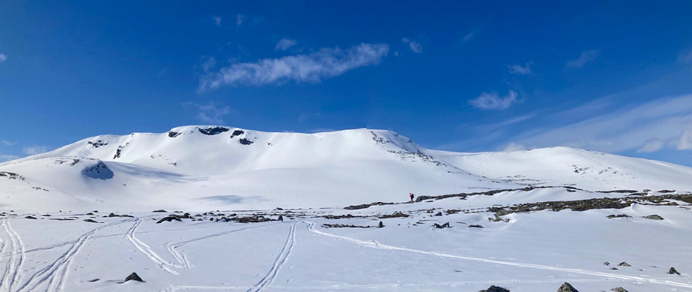 Nå begynner det å hjelpe! Vanlig rute går opp skråningen helt til høyre i bildet, nord for selve topp-området