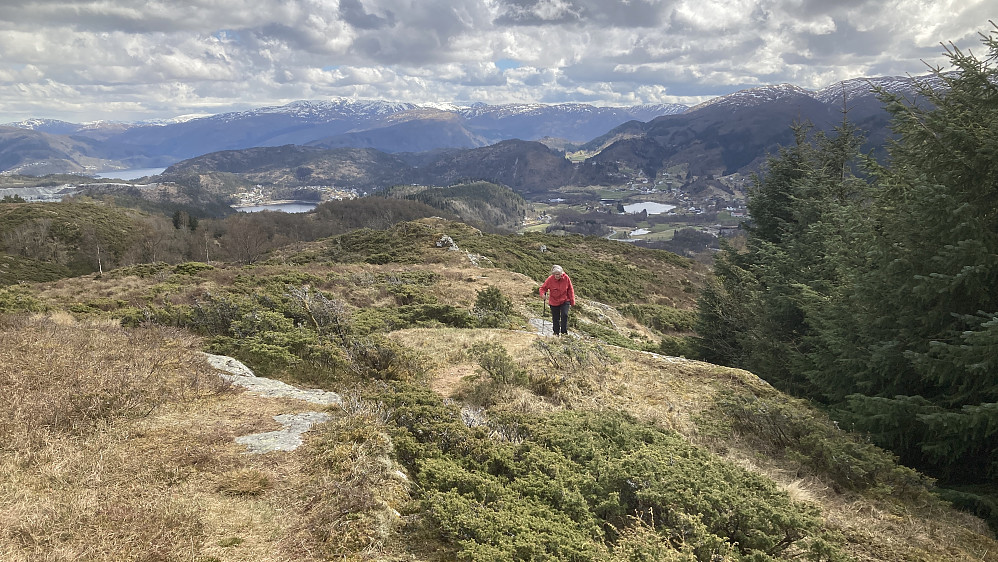 Siste strekket opp mot Birkelandsnipa 288
