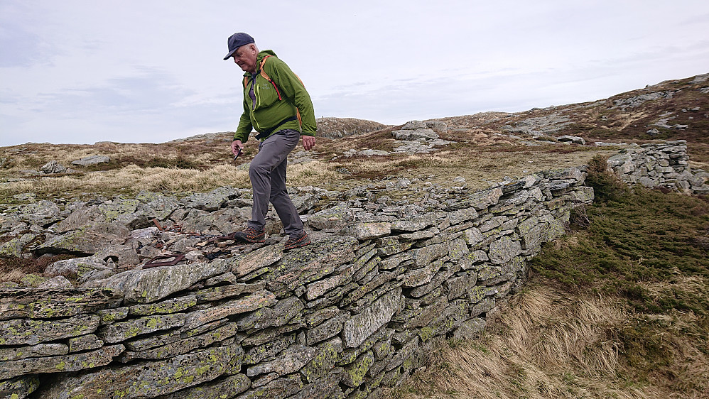 Ca. 20 m lang mur på østsiden av tuften ned mot Skomakarvatnet. Muren ble sannsynligvis bygget under krigen. Foto Helge Titland