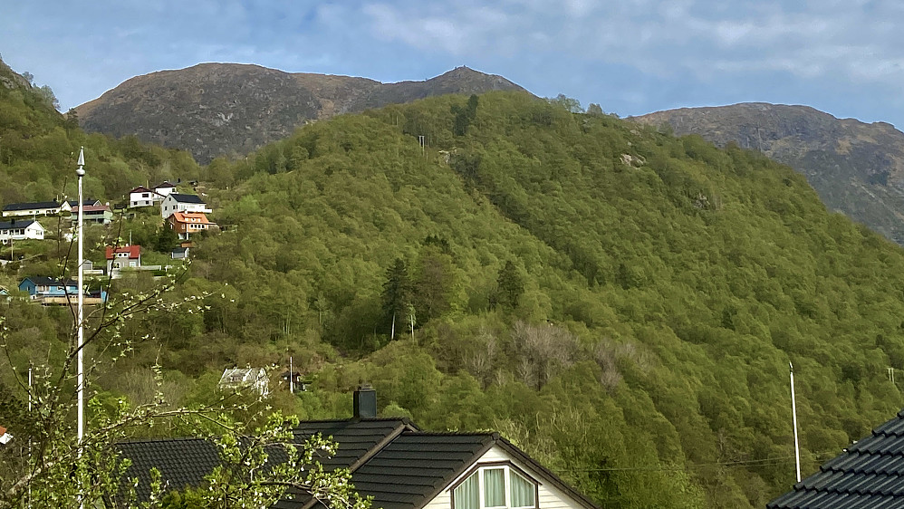 Lauvåsen 197 sett fra Vinddalsvegen. Ulskebjørnen helt i bakgrunnen