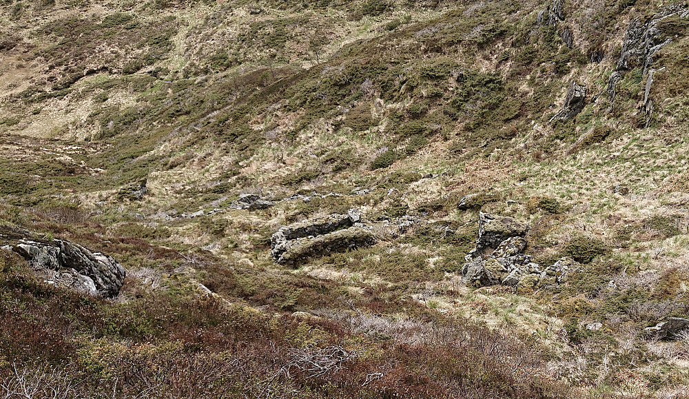 Ruinene etter Høgelien sett fra skråningen i nord. Foto Helge Titland