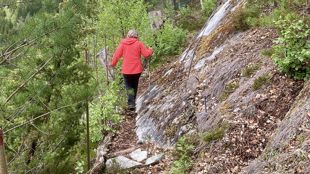 Astrid balanserer over svaene