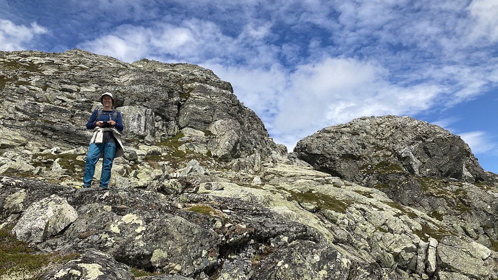 Tilbakeblikk mot skaret med merkingen