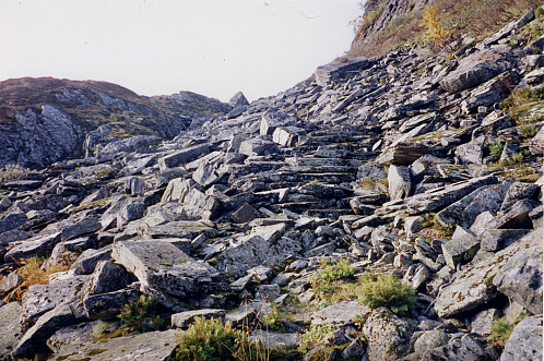 Øvste Kvannskorane 21.9.1996