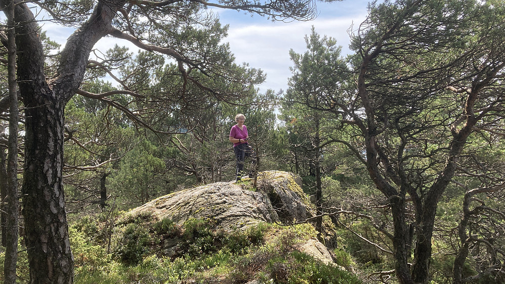 Astrid på den veldefinerte ryggen og toppen på Nord for Storhovden