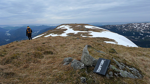 Toppunktet 784 moh på Hausdalshorga i forgrunnen. Den store varden lenger mot SV i bakgrunnen