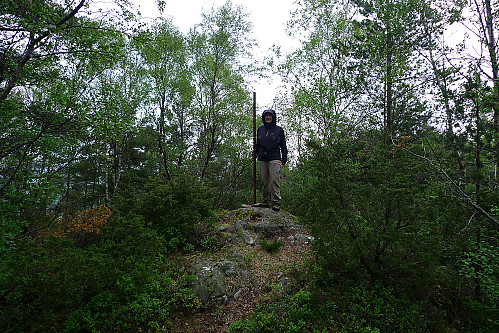 Astrid ved Toppsteinen på Ulvenfjellet