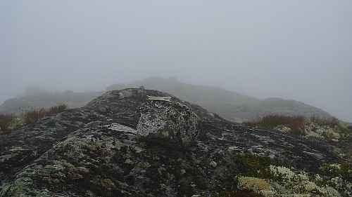 Toppstein med saueknokkel på den østligste toppen av Sauafjellet