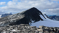Tilbakeblikk mot Surtningssue fra Sørtoppen. i bakgrunnen mot venstre Store Memurutind, mot høyre Blåbreahøene