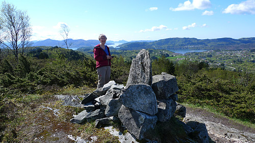 Utsikt mot Sv fra Kvamsfjellet