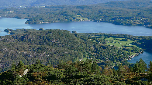 Fjellbergøya sett fra Borgundøy. Påskåsen ligger inne i skogen litt til venstre for hogstfeltet midt i bildet