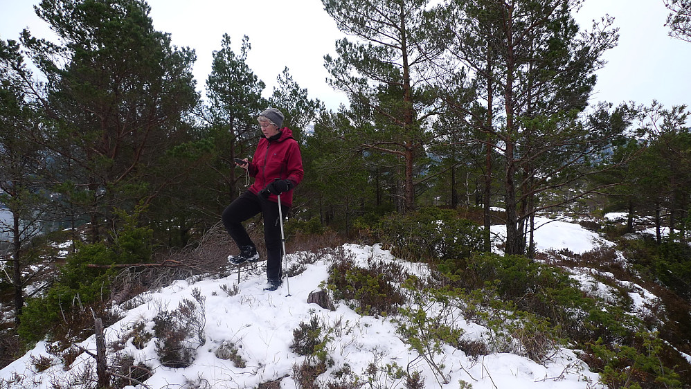 Endelig oppe på toppen av Drangskollen!