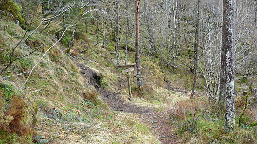 Stien mot Høgelikampen går av oppover mot venstre ved Hovlandsvatnet