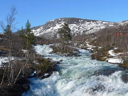 Vårflom i Ljosanåni. Ljosandberget i bakgrunnen