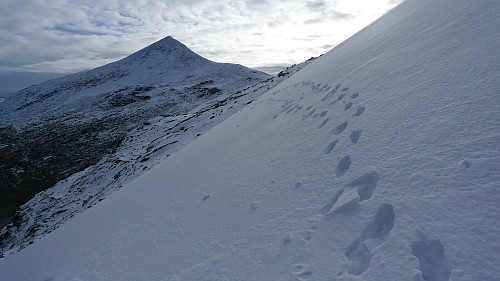 Bratt snøflanke på vei mot Simledalsbandet. Skarddalstinden i bakgrunnen