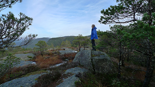 Astrid på høyeste punkt på Myrbærstøfjellet