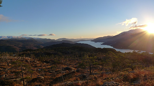 Utsikt sørover Samnangerfjorden fra trig-punktet på Eineråsen
