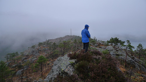 Astrid på høyeste punkt på Store Sundhaugen 