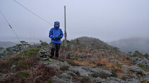 Astrid ved telemasten. Høyeste punkt på haugen i bakgrunnen