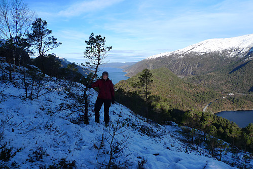 Siste stykket før toppen. Austefjorden og E39 med nordenden av Husdalsvatnet