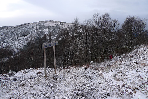 Graverstien kommer opp her. Vardefjellet i bakgrunnen