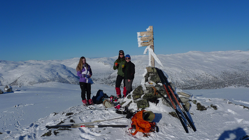 Vesetfjellet en strålende vinterferiedag 18. februar 2014! I bakgrunnen Ljosandalen og Klevanuten. Eilivseggen til høyre