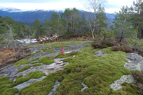 Rester etter gammelt trig-merke på Snøyo
