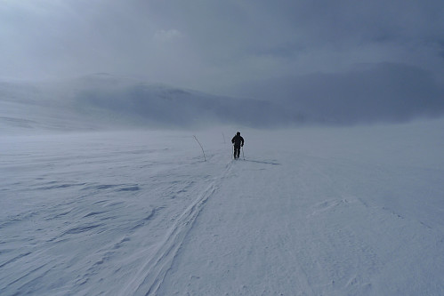 På vei vestover i Veodalen mot Veopallan