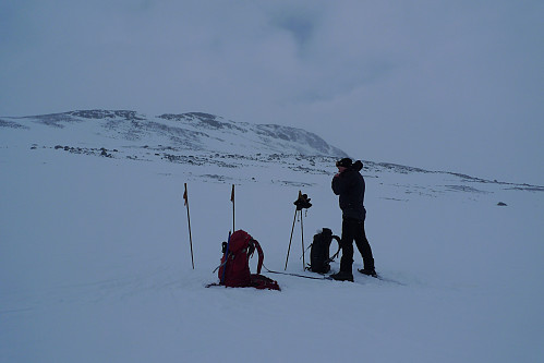 På ca. 1600 moh. Veopallan i bakgrunnen