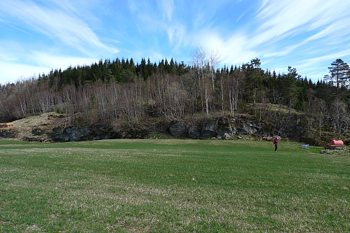 Skogsåsen på Hellestveit i Kvam
